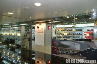 全方位攝影服務(wù)指南 從婚紗到家庭，捕捉每個(gè)珍貴瞬間